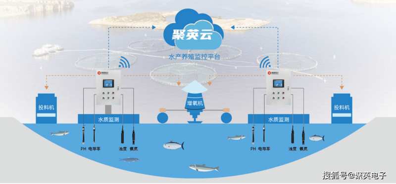 水产养殖管理系统:助力现代科技赋能农业