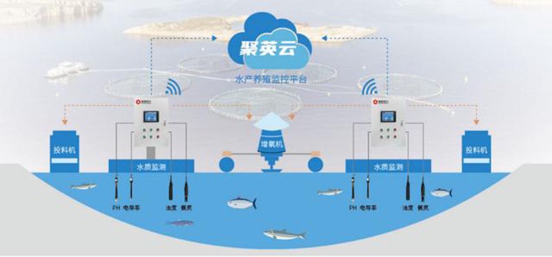水产养殖行业的智慧革命：管理系统革新探索