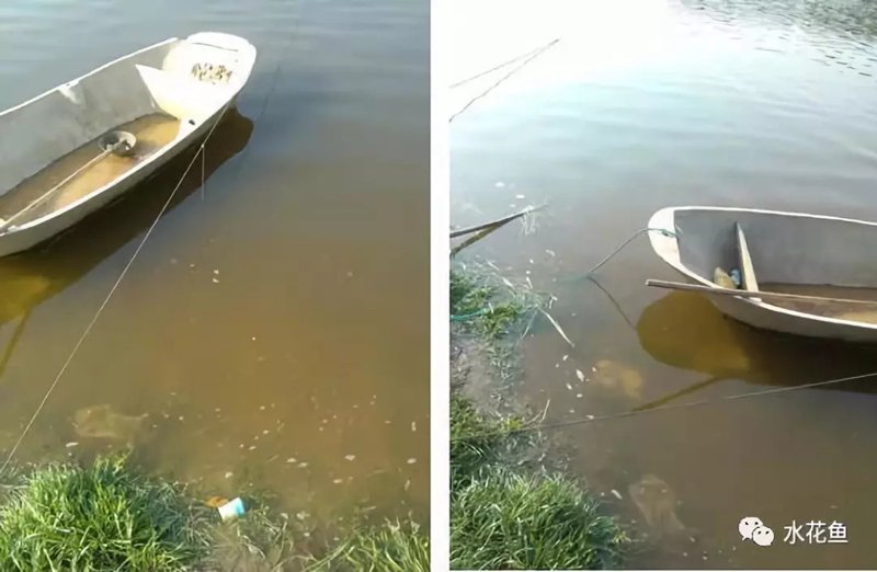 水质在线监测系统:提升环保效率的利器